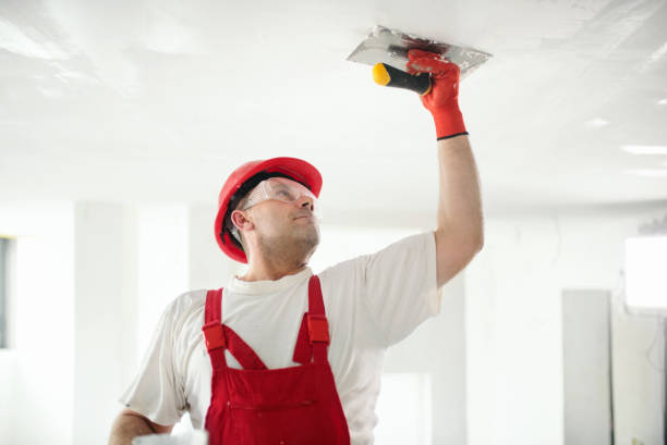 Best Repainting for Renovations  in USA